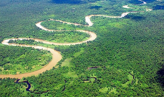 El 40 % del Amazonas puede convertirse en un ecosistema tipo sabana