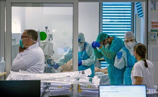 OMS confirma más de 2,7 millones de casos y 187.000 muertes por coronavirus