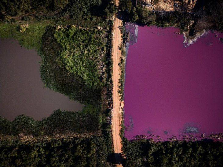 Laguna Cerro: Dictan prisión preventiva para dueño de curtiembre por considerar que hay peligro de fuga