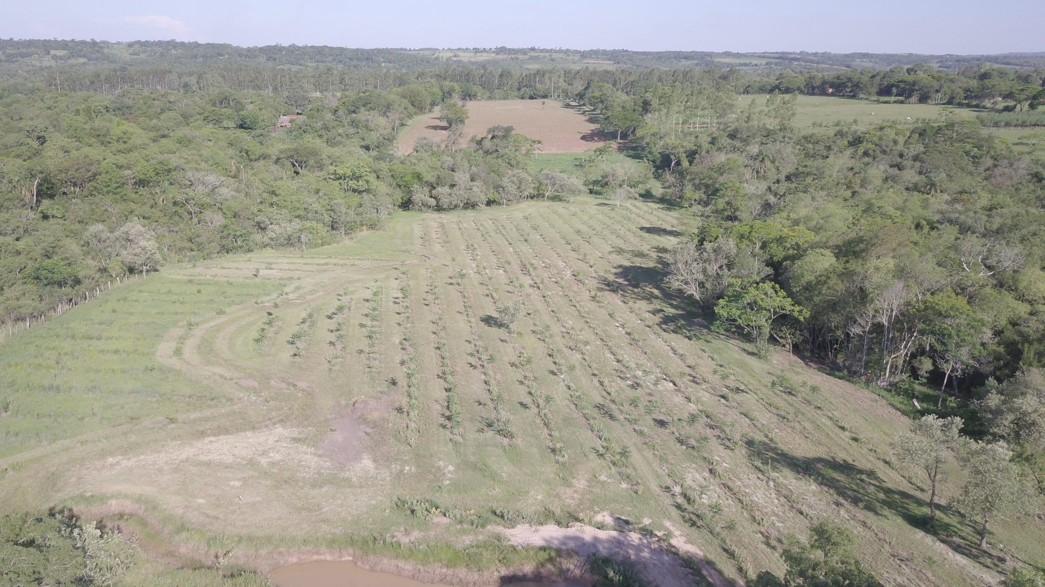 Realizan capacitaciones para combatir incendios forestales en el Guairá