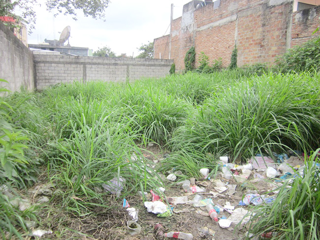 Denuncian desidia ambiental en Lambaré