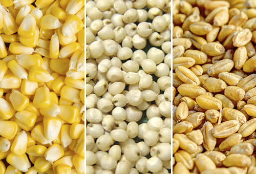 De granos a alimentos sostenibles: El nuevo rol del Paraguay en el mundo