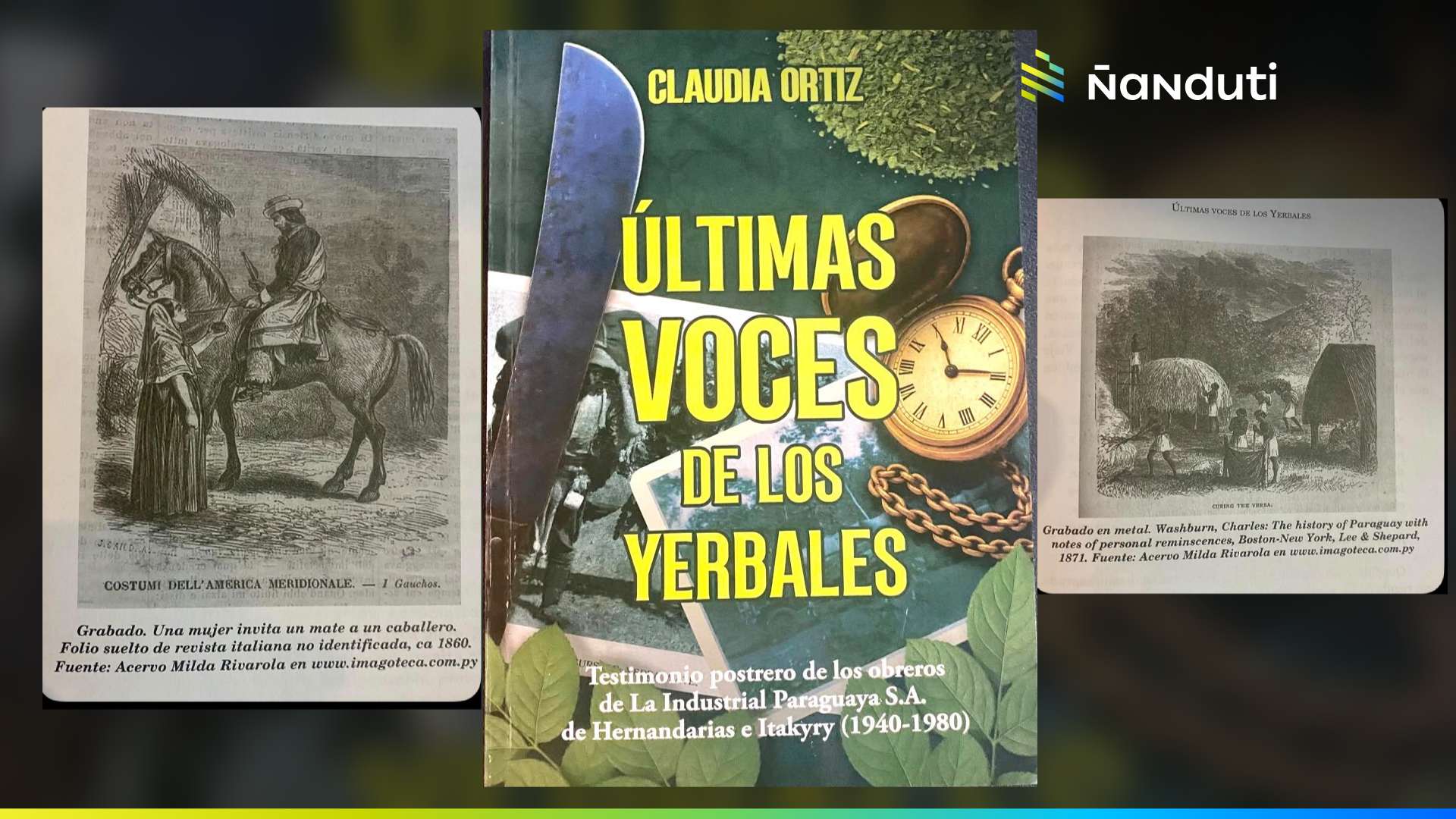 El Infierno verde del Paraná