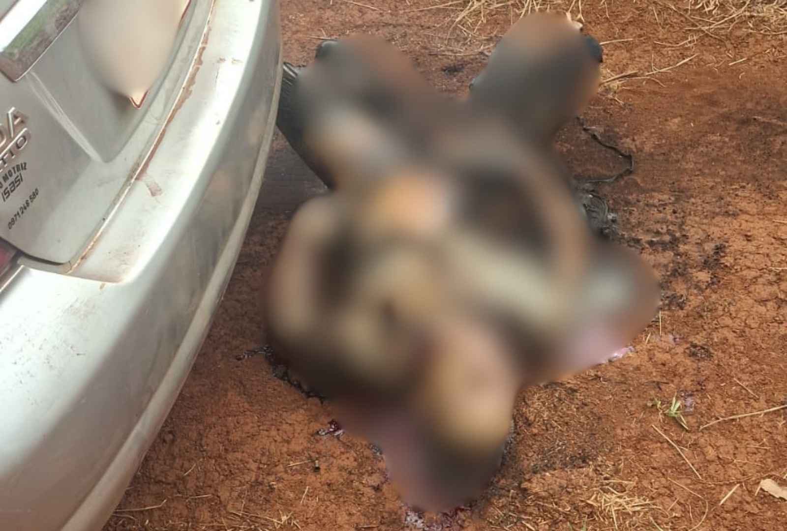 Asesinan a un hombre en Pedro Juan Caballero e intentan quemar su cuerpo